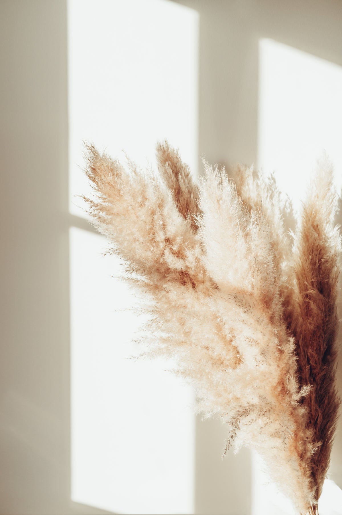 Poster Serenity aus hochwertigem Papier