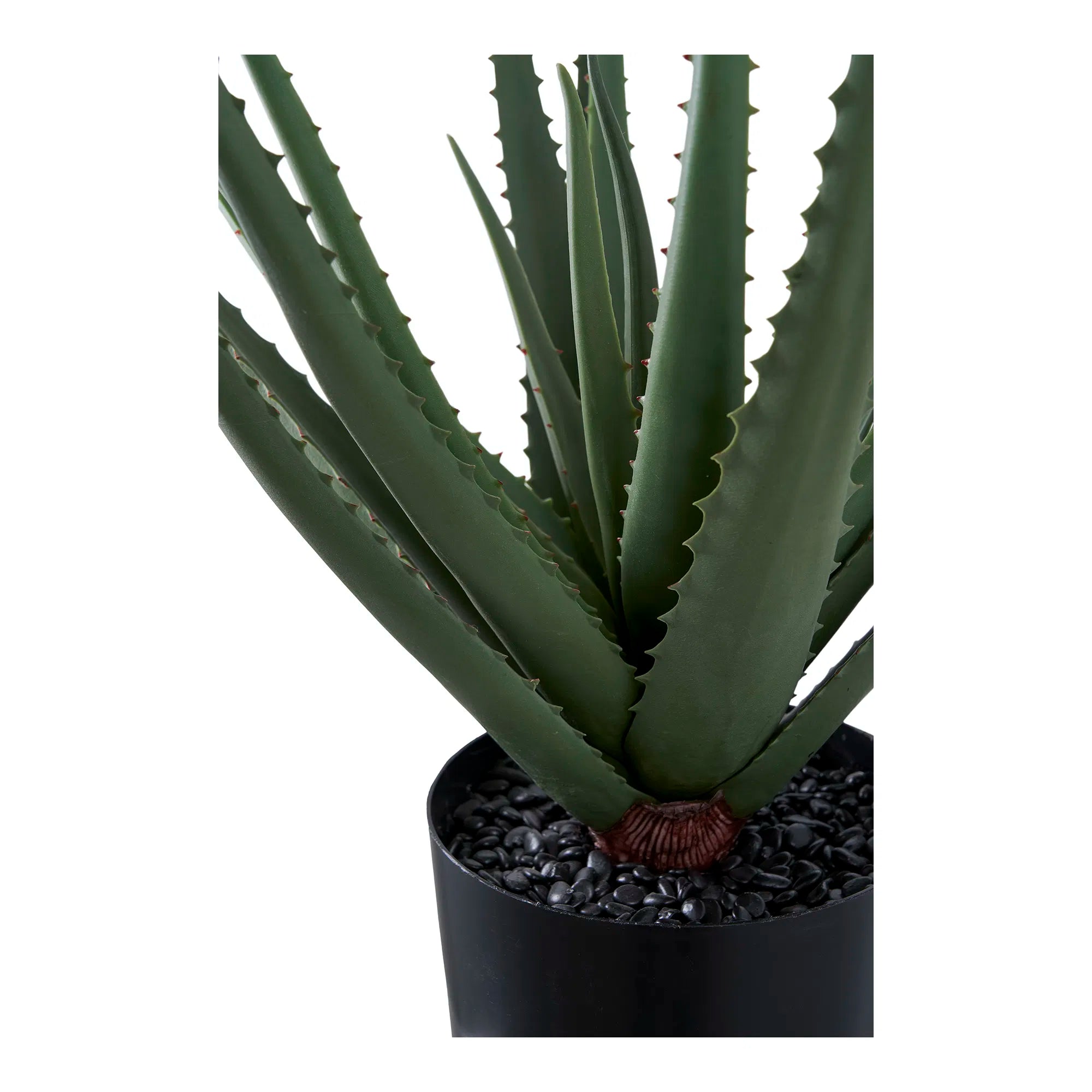 Kunstpflanze Aloe Vera – 51 cm pflegeleichter Klassiker im modernen Look
