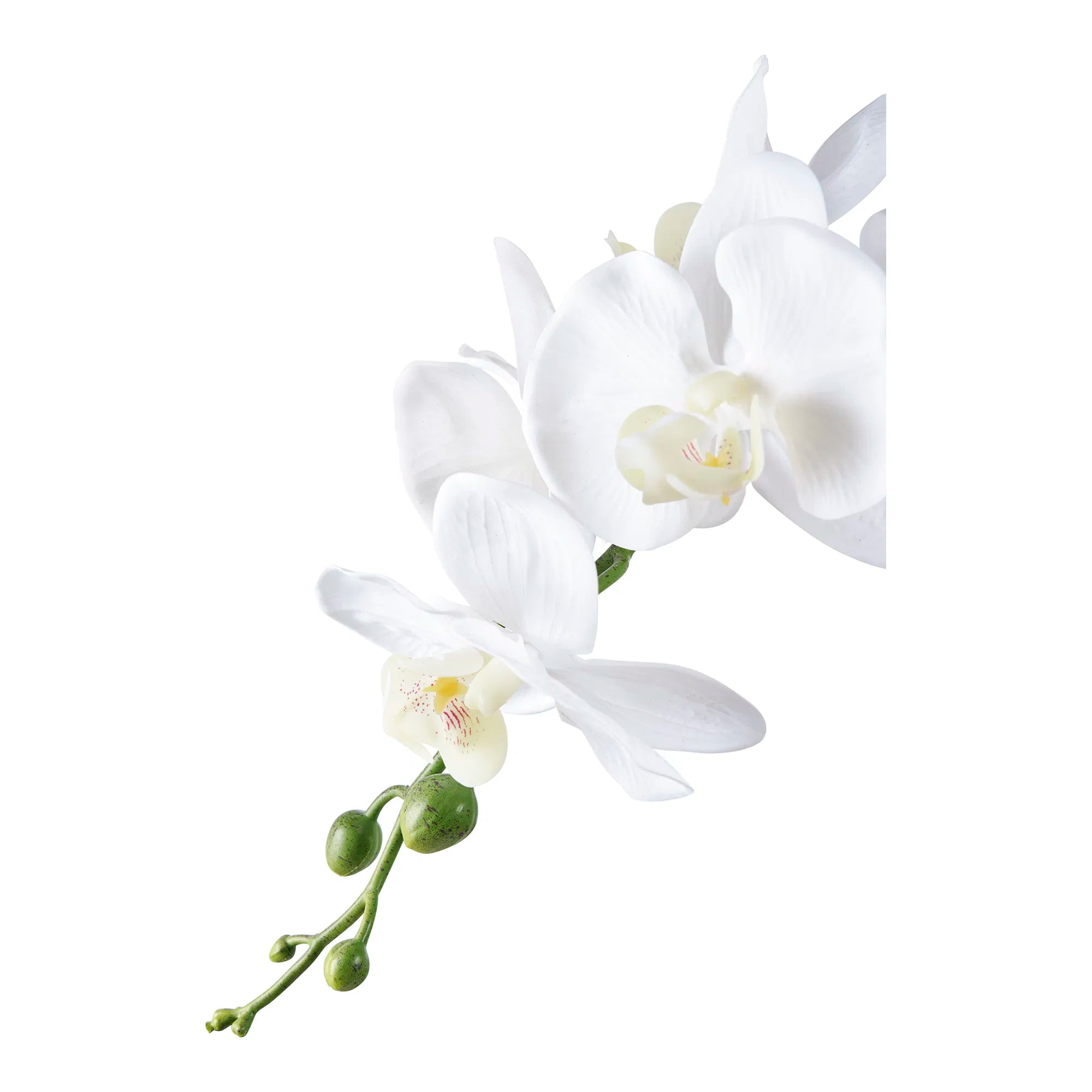 Kunstpflanze Orchidee – 49 cm elegante Blütenpracht für stilvolle Räume