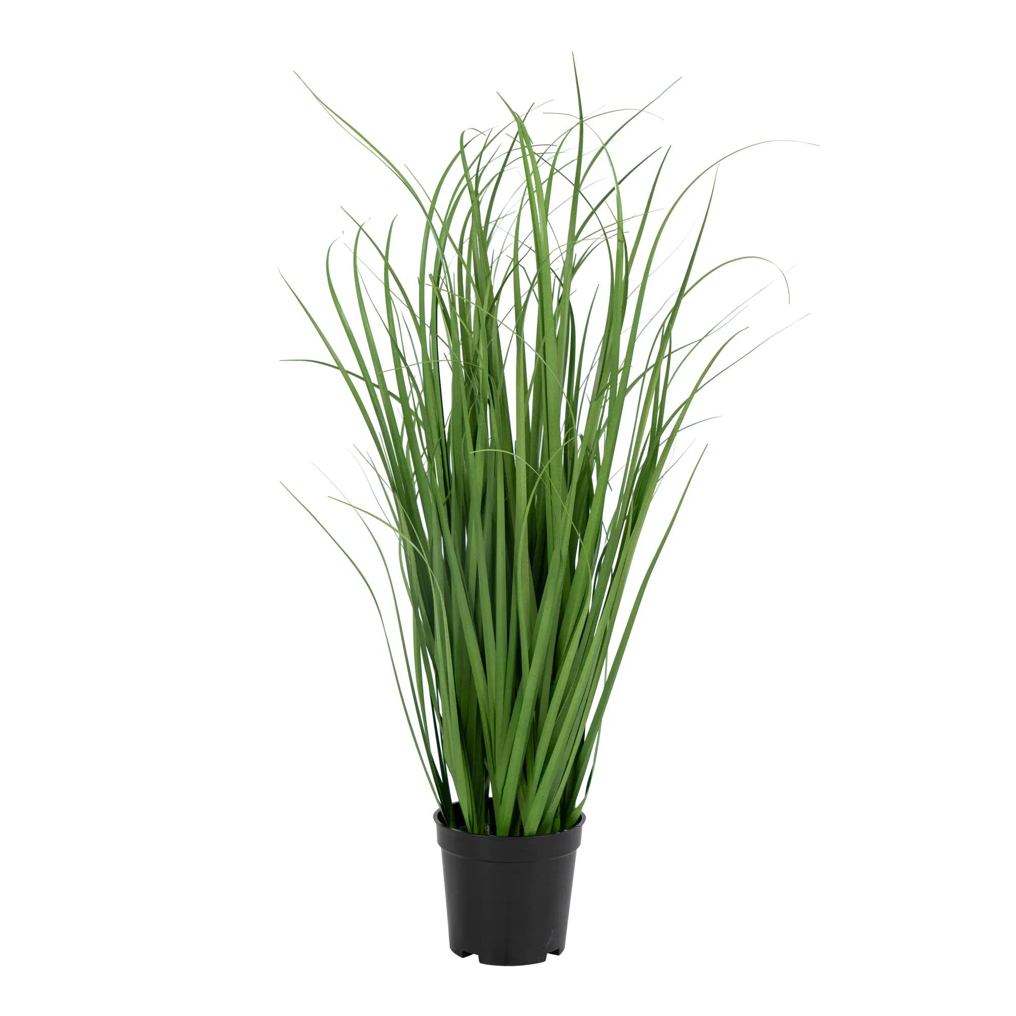 Kunstpflanze Poa Gras – 68 cm luftiger Look für moderne Räume