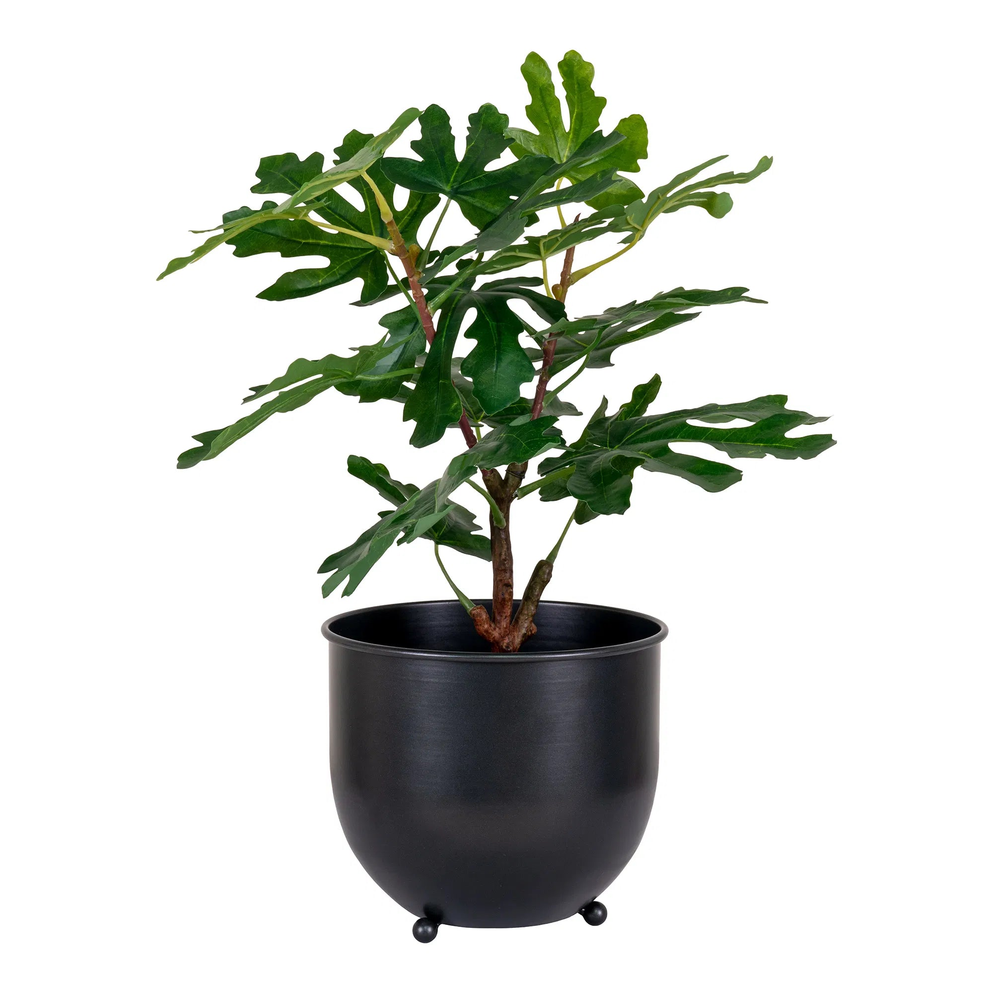 Kunstpflanze Feigenbaum – 60 cm mediterraner Charme für dein Zuhause