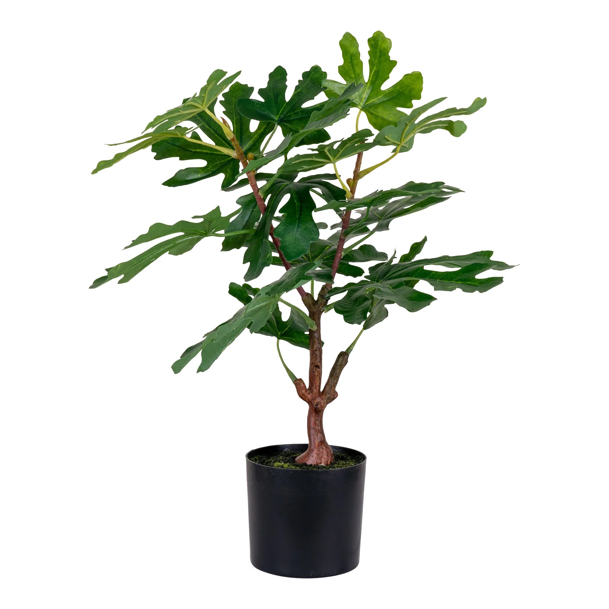 Kunstpflanze Feigenbaum – 60 cm mediterraner Charme für dein Zuhause