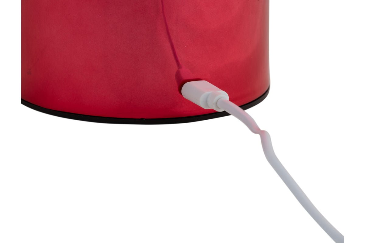 Bordlampe Skogna - Designlampe i jern med LED