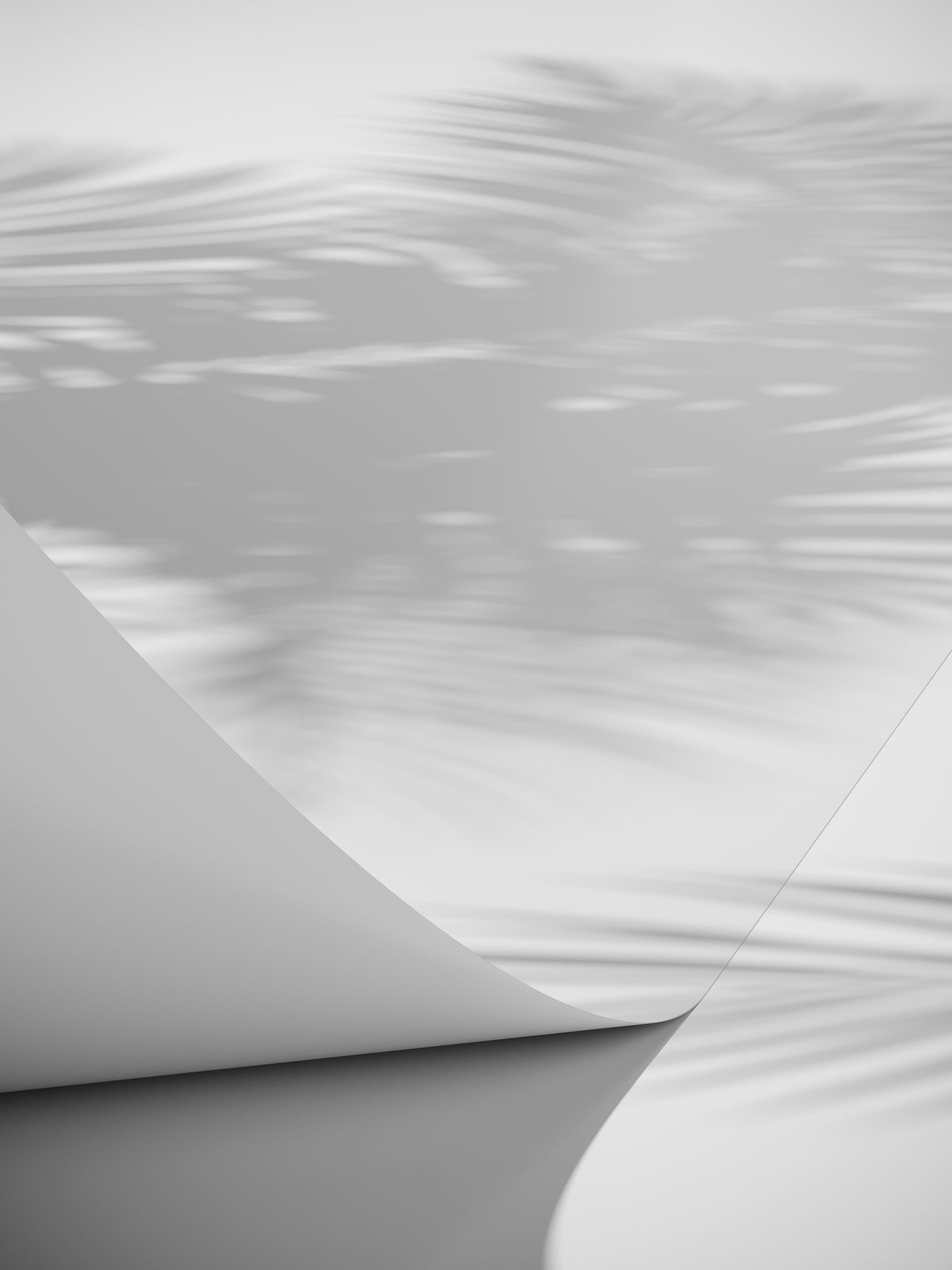 Plakat Linea af højkvalitetspapir