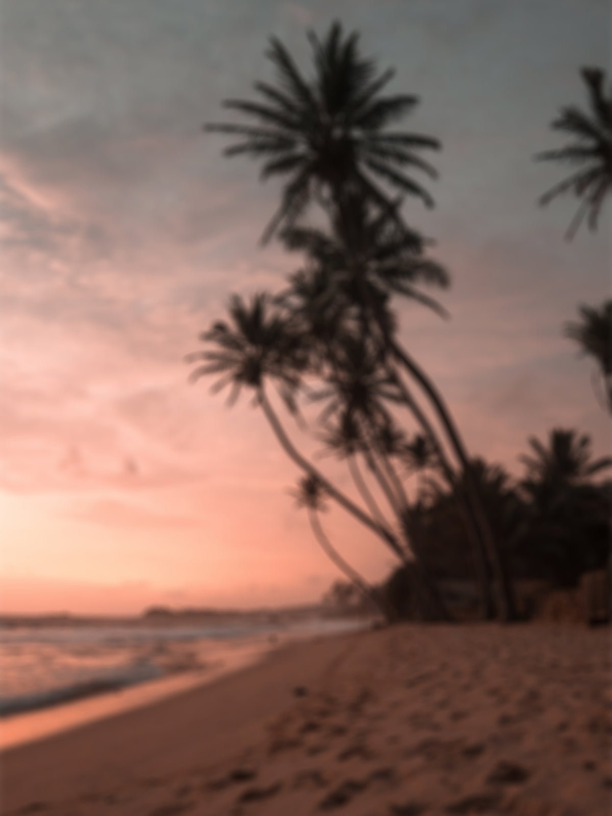 Plakat Beach af højkvalitetspapir