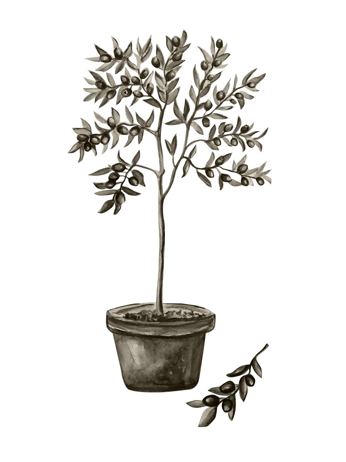 Plakat Mediterran af højkvalitetspapir