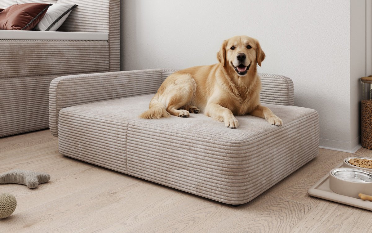 Hundeseng BelloCouch 80 × 100 cm i Cordfløjl