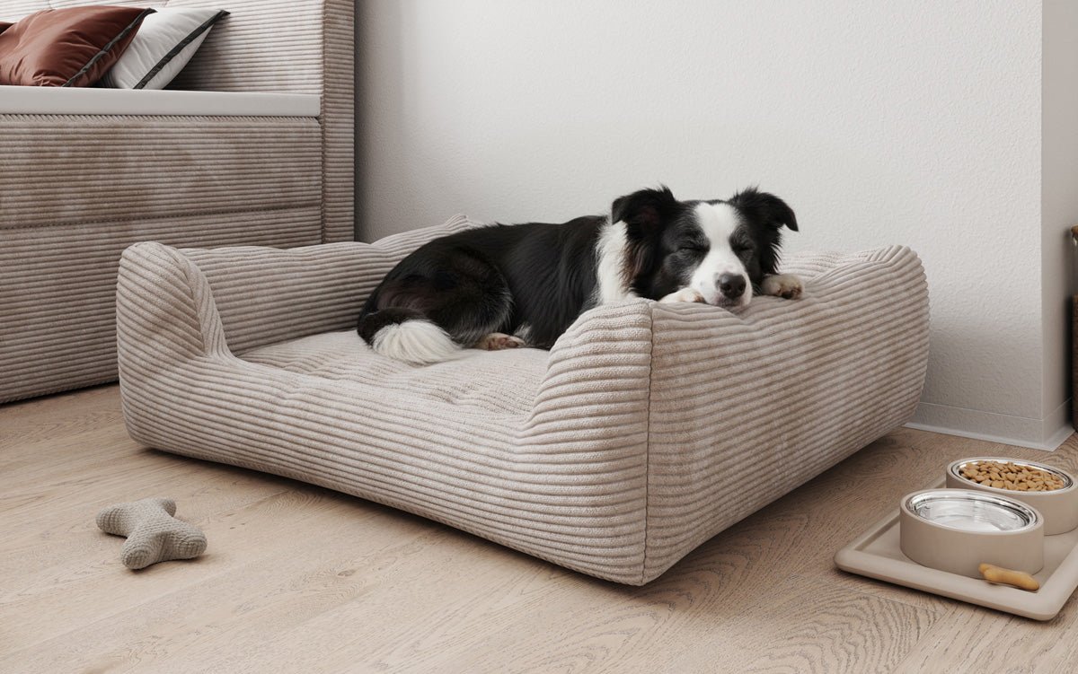 Hundeseng Cosmo 120 × 80 cm i Cordfløjl