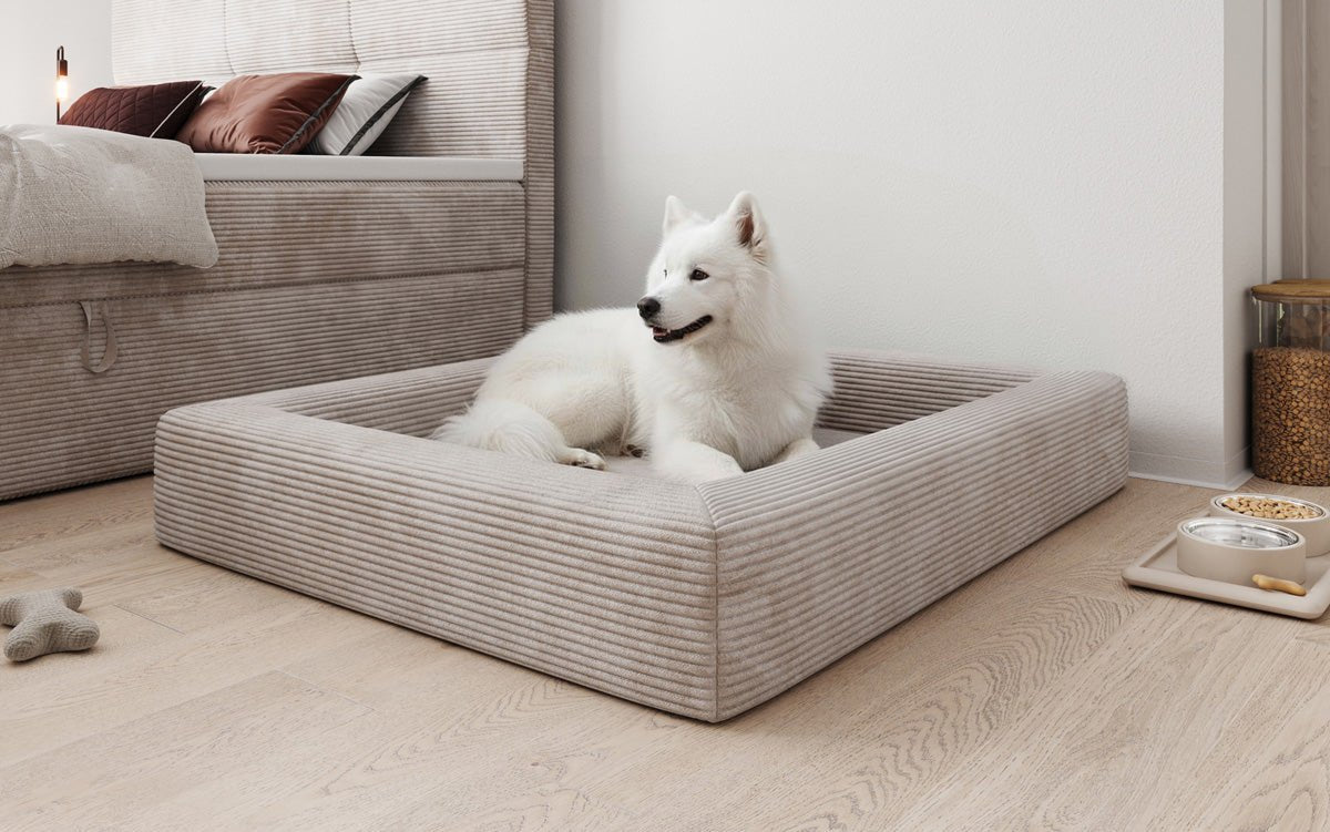 Hundeseng Cordino 100 × 120 cm i Cordfløjl